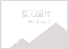 雅江县冰夏制造有限公司